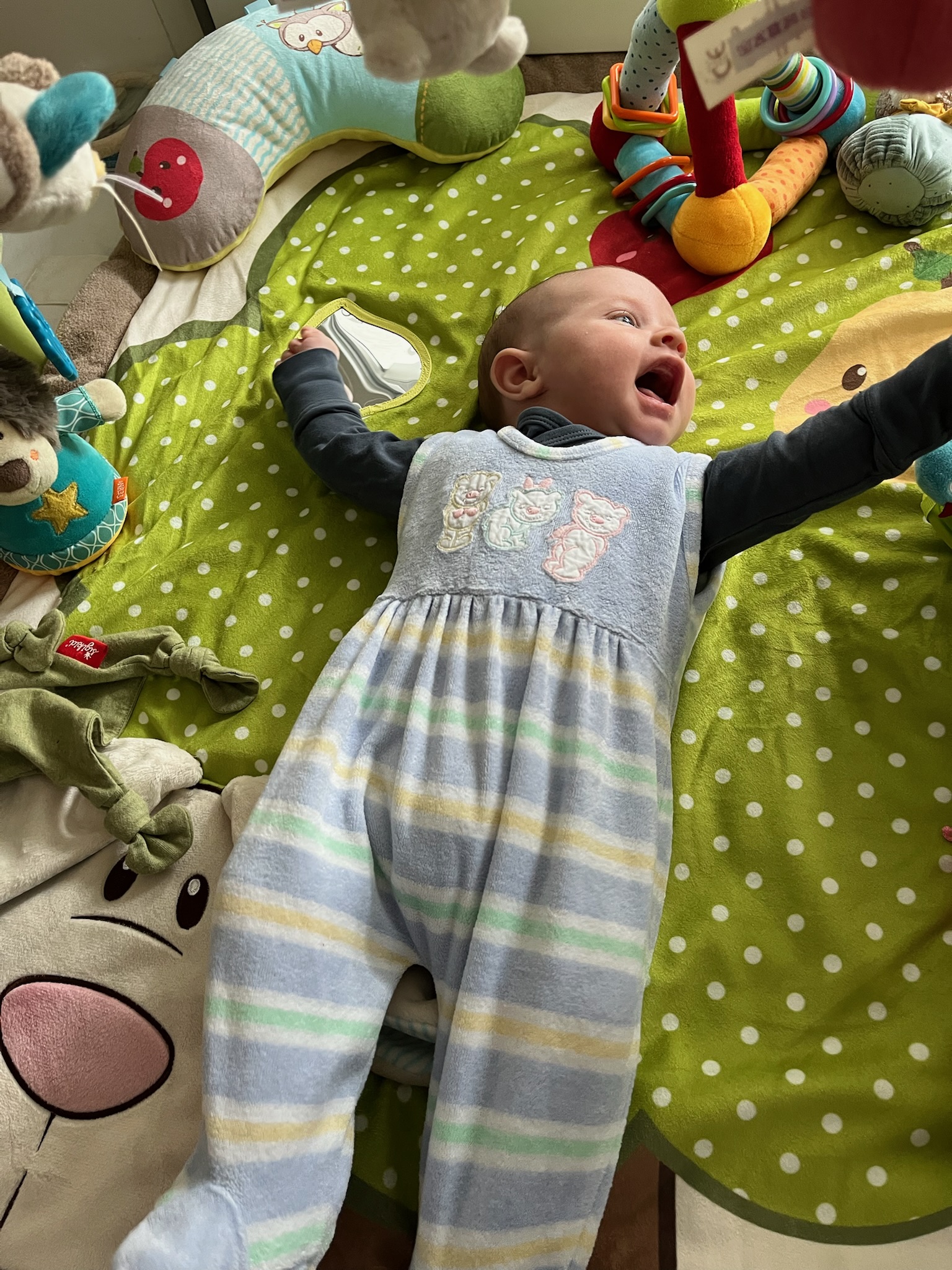 Adrian April 2025 #2.5