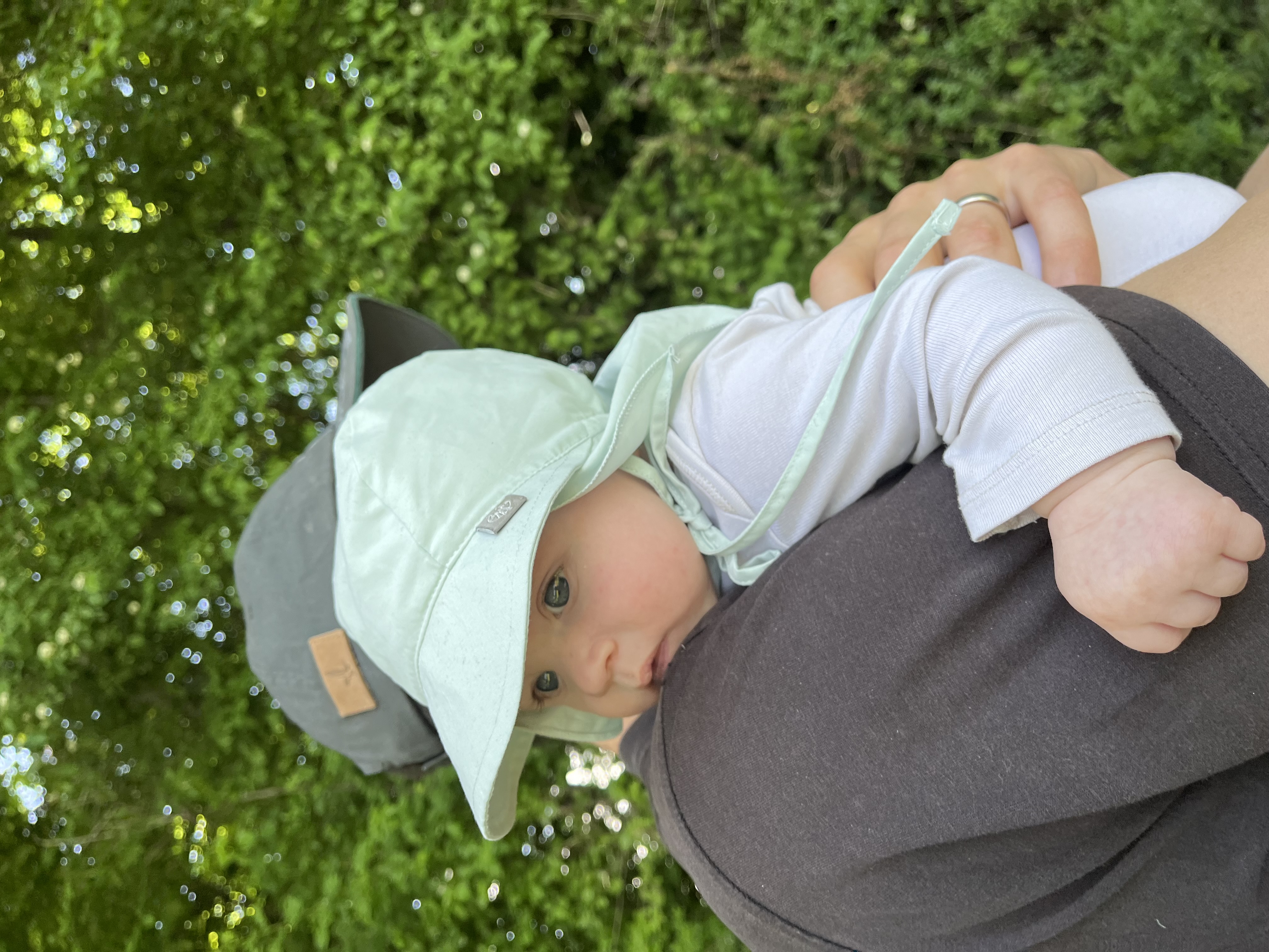Adrian Mai 2025 #2