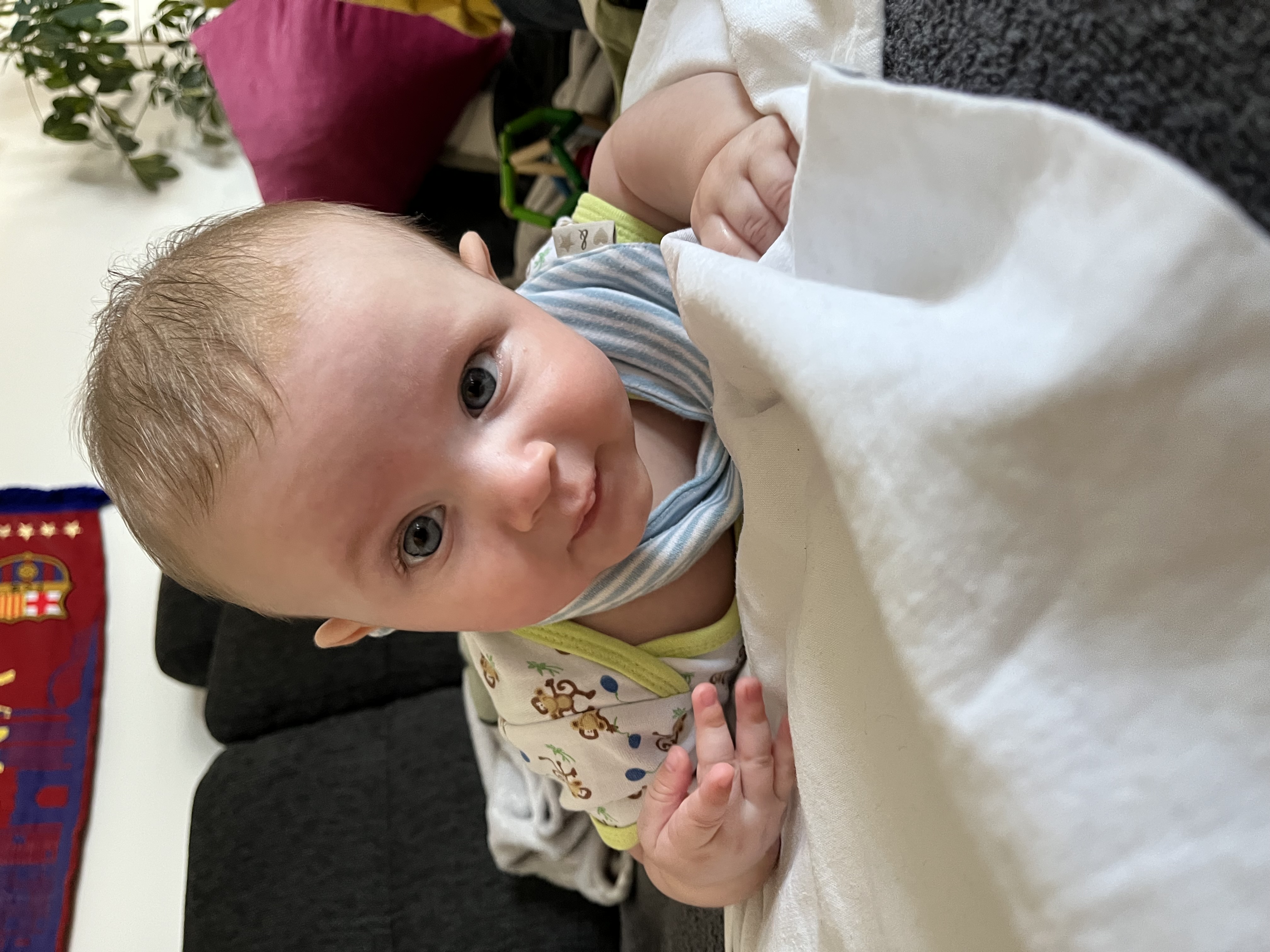 Adrian Juni 2025 #4