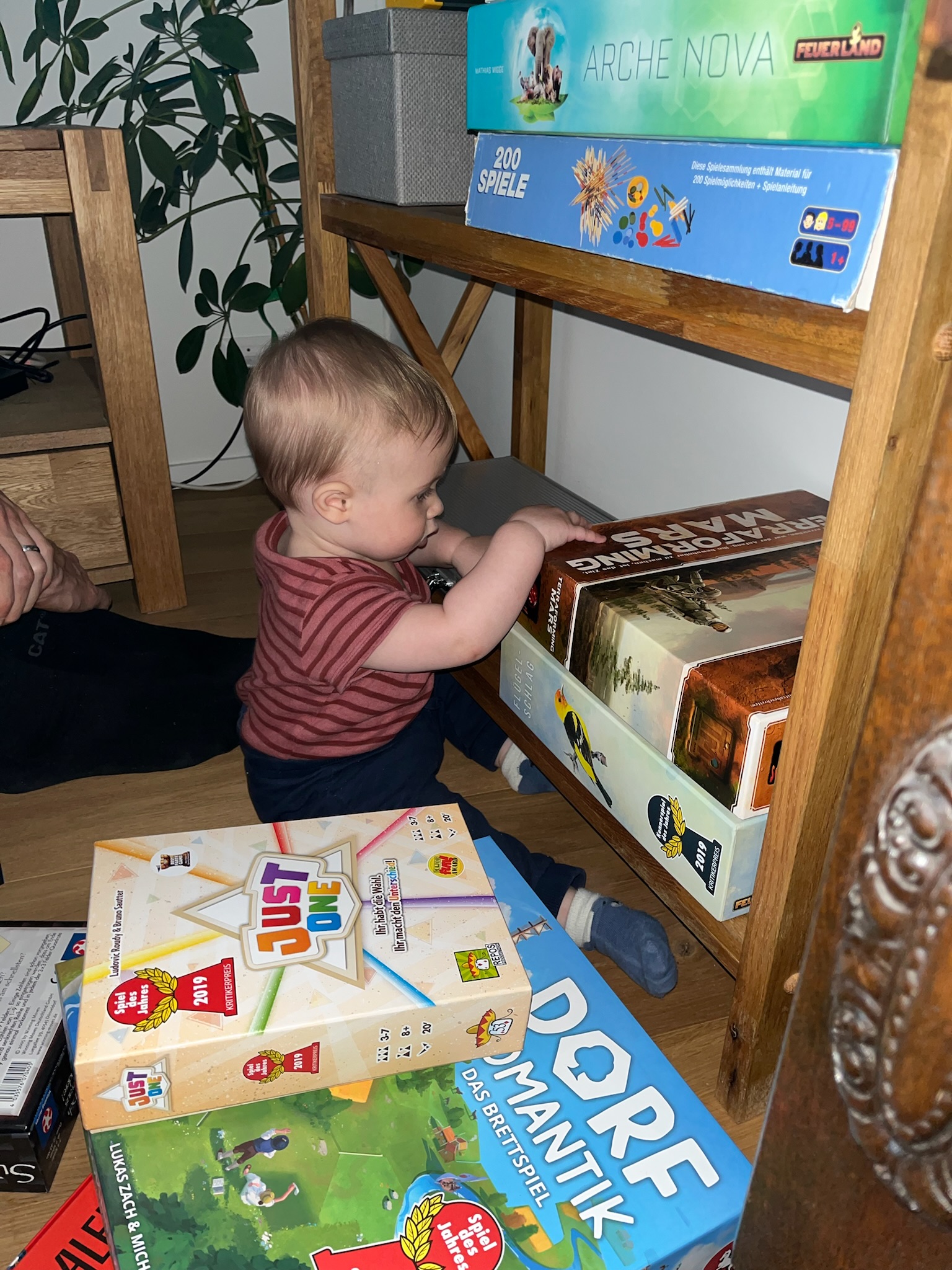 Adrian Oktober 2025 #3